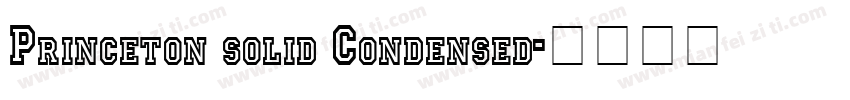 Princeton solid Condensed字体转换